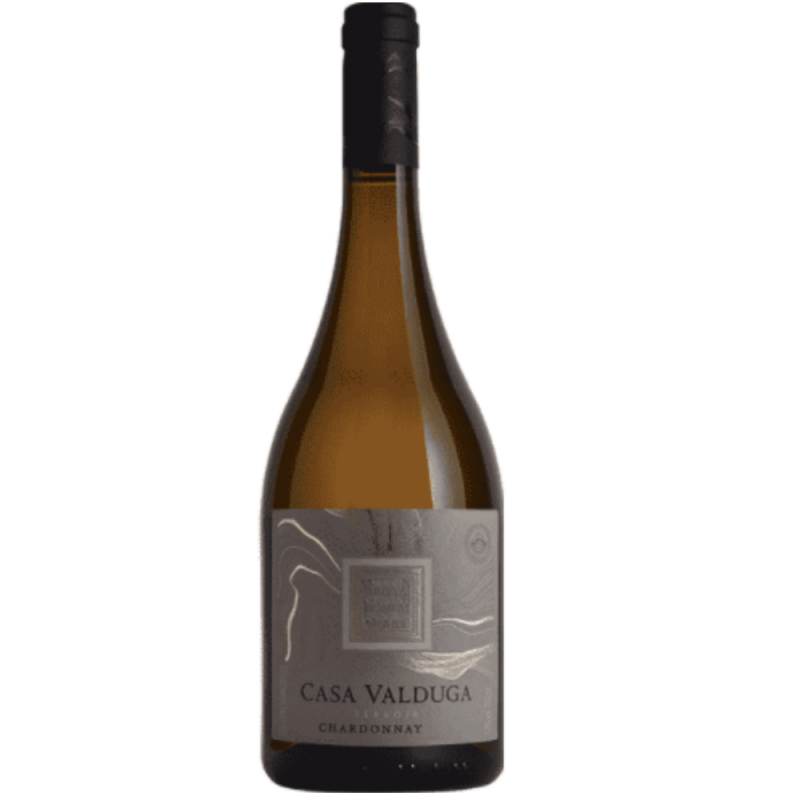 Vinho Branco Terroir Chardonnay Casa Valduga